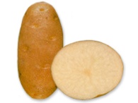 Click view for more details on this PEI Potato