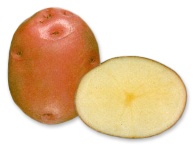 Click view for more details on this PEI Potato