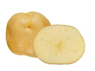 Click view for more details on this PEI Potato